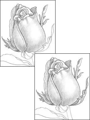 鐜懓绱犳弿鏁欑▼,绱犳弿鐜懓鐢绘硶鏁欑▼