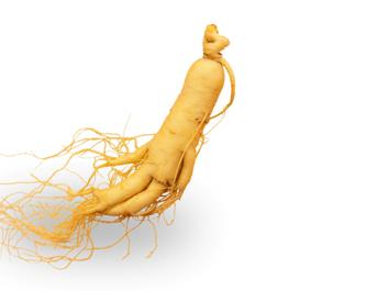 香娜露羊胎素绵羊油滋养霜,香娜露儿羊胎素面霜