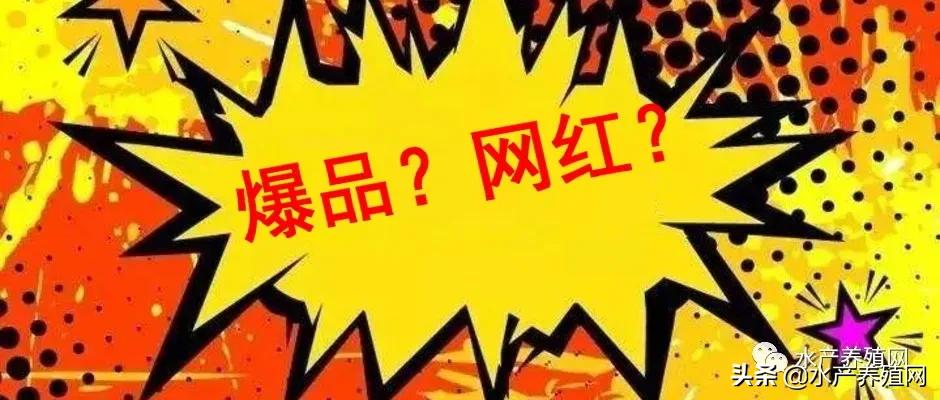 牛蛙产业链,牛蛙产业链发展模式