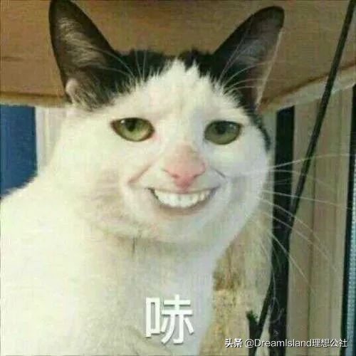 蔡卓宜星星眼妆,蔡卓宜同款眼影