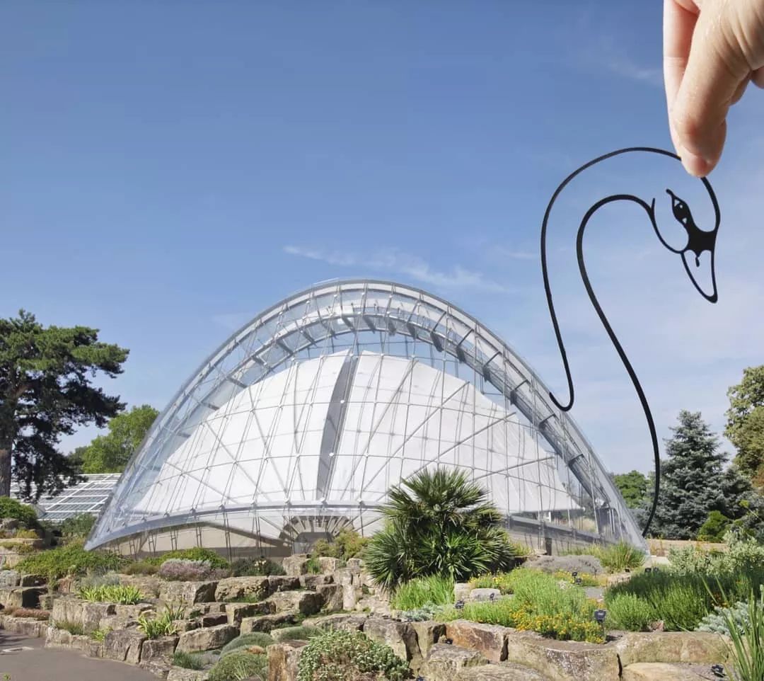 从没见过！在街上拍到了老爷爷头上喷白雾！原因......其实很好玩