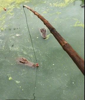 搞笑gif开心一刻满满的正能量,搞笑gif开心每一天