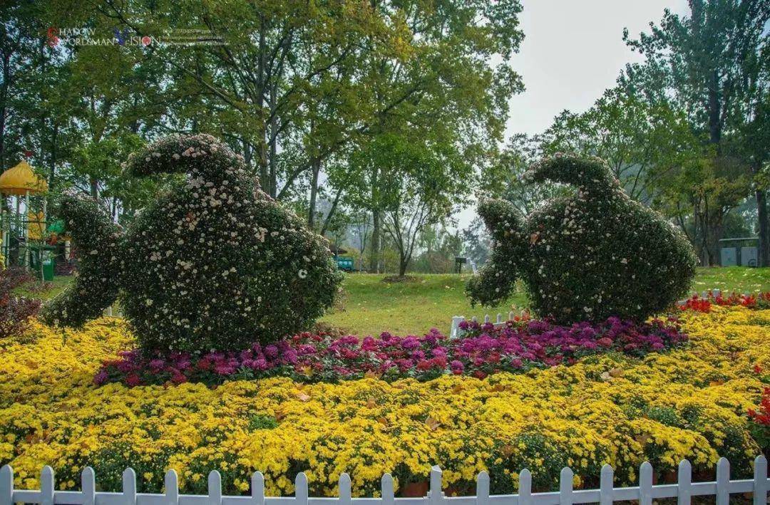 初春南京一日游攻略导图,南京秋景一日游的攻略