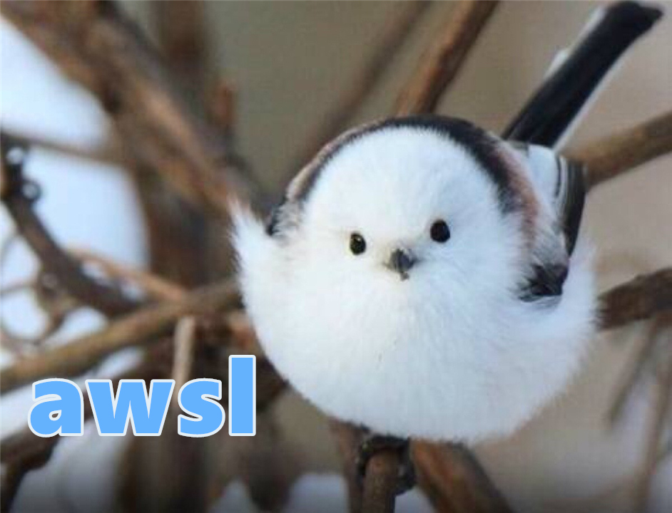 因为太萌差点成为“国鸟”的小肥啾：美丽在可爱面前一无是处