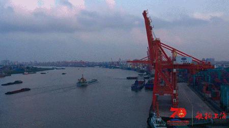 超燃大片！航拍上海24小时，16区混剪版亮出魔都的“精气神”【可爱的中国，奋进的上海】