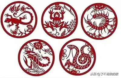 中华5000年经典知识,快收藏中国上下5000年经典知识