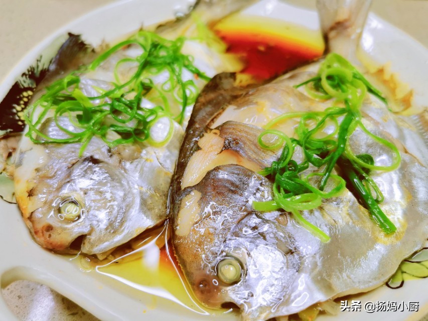 清蒸银鲳鱼肉质发硬怎么回事,正宗清蒸银鲳鱼的正确方法视频