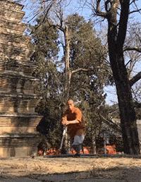 乳头掉了不要紧......它有许多预备军。这绝对是冷知识。