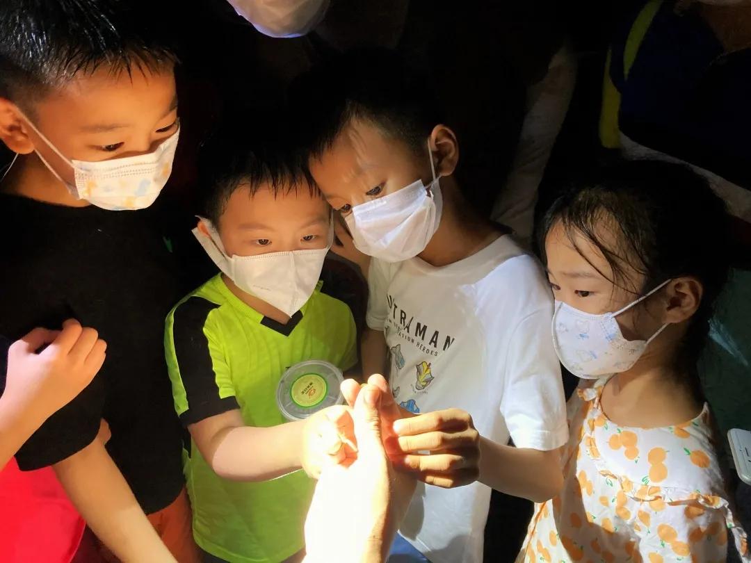 涔橀鐮存氮灏戝勾琛屽浠よ惀,鏆戝亣涔橀鐮存氮