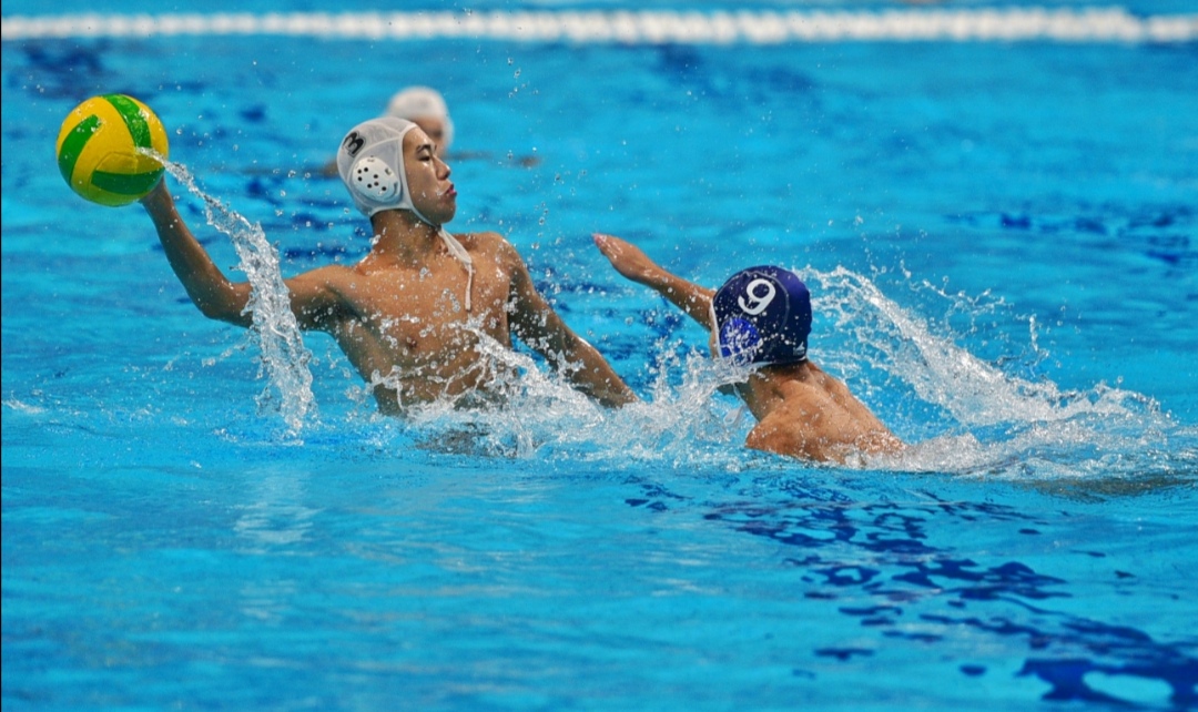 奥体中心跳水馆赛程,奥体中心游泳跳水馆建设视频