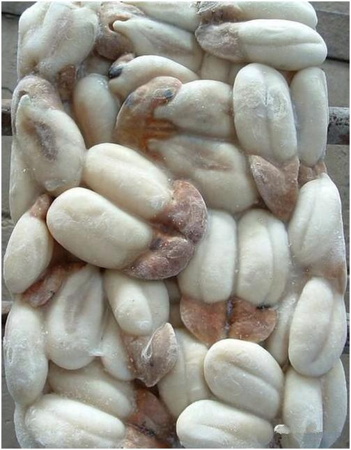 看图识海鲜，这些水产海鲜你都认识吗？