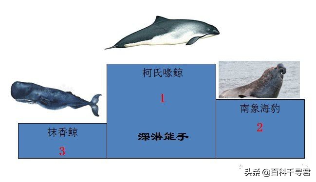 针对网上盛传的各种关于动物的谣言和误解,谈一谈我所了解的真相