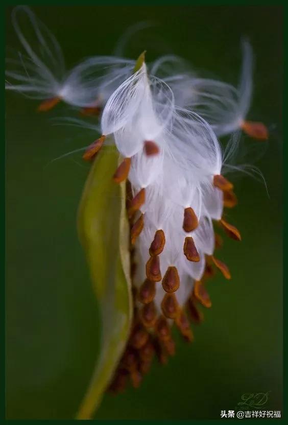 送给群友的美图,最新群相册大全