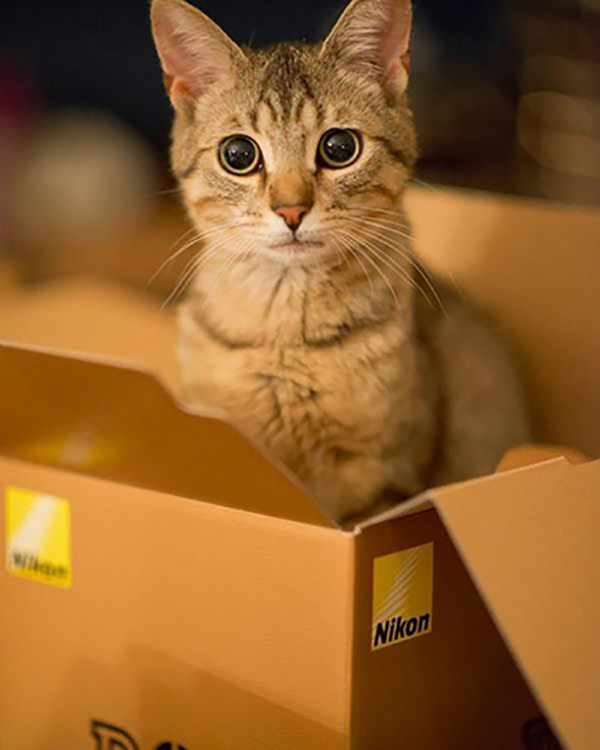 西瓜视频上传抖音后变模糊了呢,原视频清晰为啥上传抖音模糊了