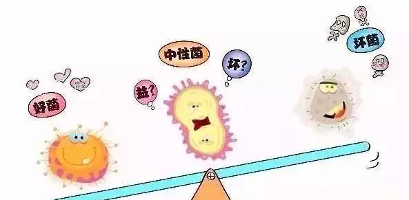 益生菌别瞎吃这3点很重要,益生菌不是生病才吃的