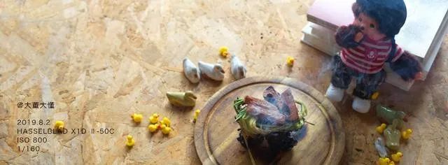 立秋成熟的味道,立秋大董新菜品