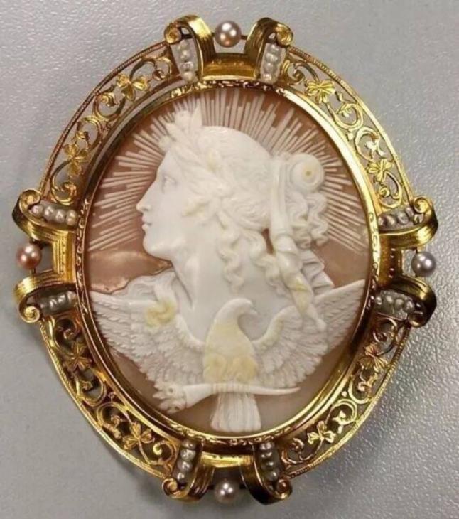 神奇贝壳料理,神奇的贝壳