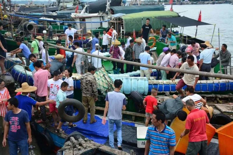 湛江什么岛能买海鲜,7月份的湛江海边有什么海鲜