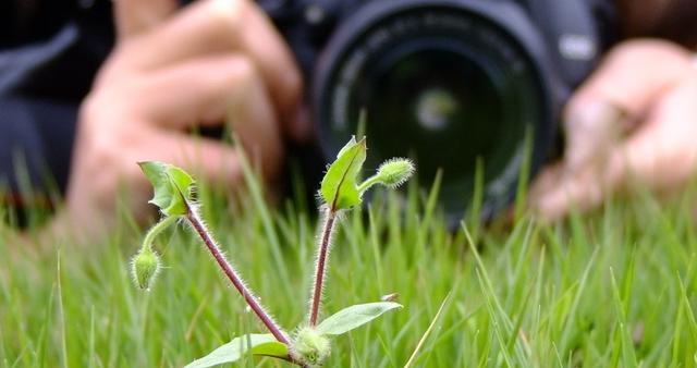 为什么越来越多的人喜欢摄影，摄影到底有什么魅力？