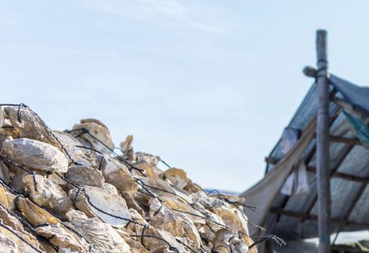 福建霞浦旅游真实照,福建霞浦风景点