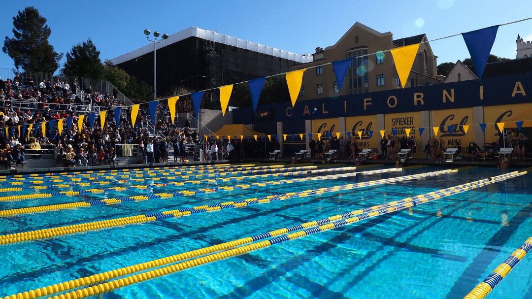 美国奥运冠军最多的大学,美国各大学奥运金牌排行榜