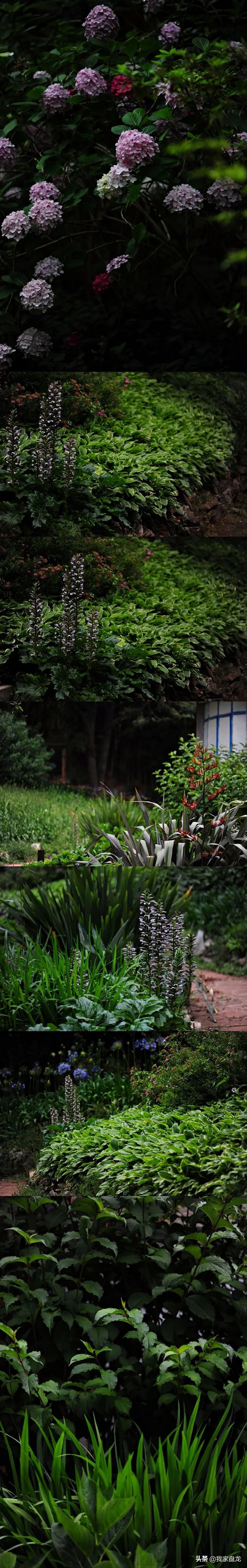 这种乱七八糟滴栽花方式,到底是不是园丁出了问题?