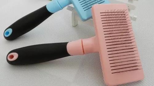 给猫主子梳毛,给猫猫梳毛用什么最好