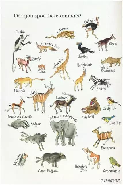 哈利波特书籍全套适合儿童阅读,英文哈利波特书籍适合孩子看吗