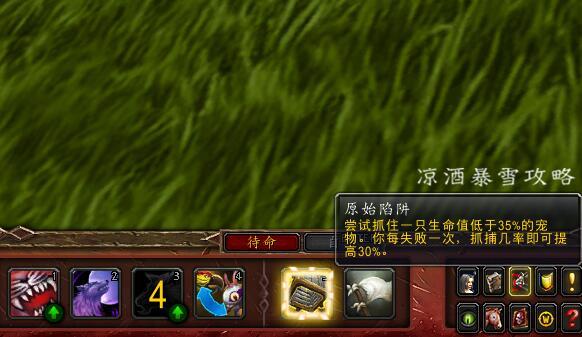 魔兽世界宠物对战是哪个版本的,魔兽世界宠物对战推荐