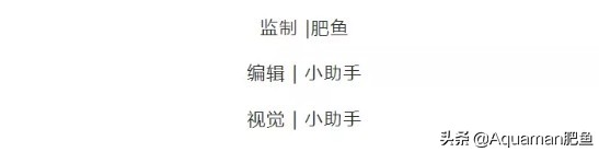 便宜又好养的水草推荐,好养又便宜的水草推荐