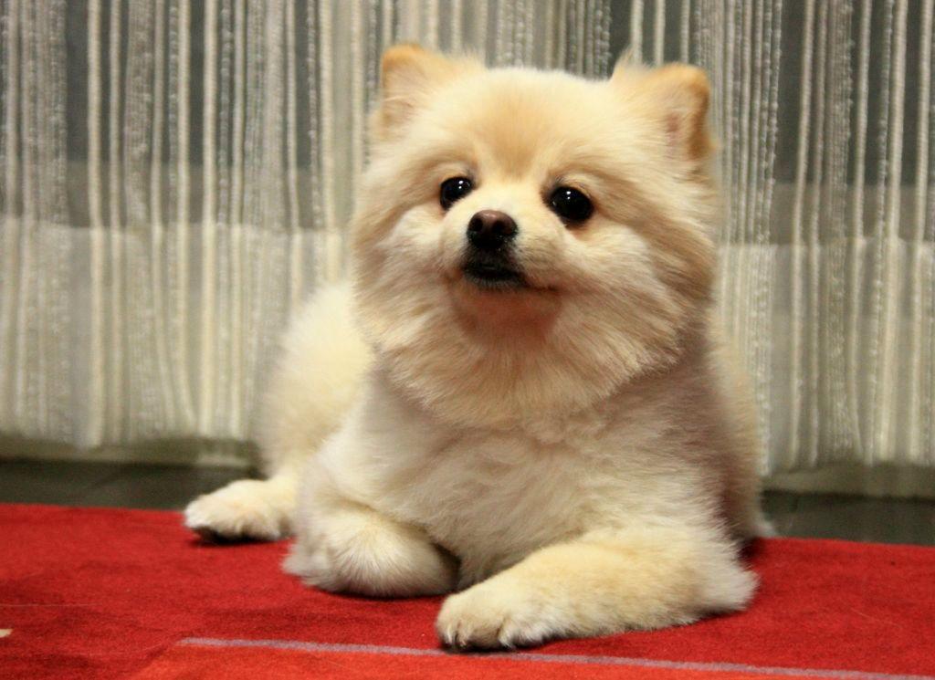 7款单眼皮眼妆单眼皮女生必看,高冷单眼皮眼妆超模