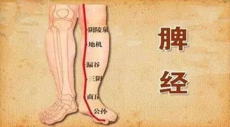 13条人体养生经脉详解,教你打通任督二脉~