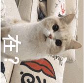 运营商近期大事,三大运营商的那些事