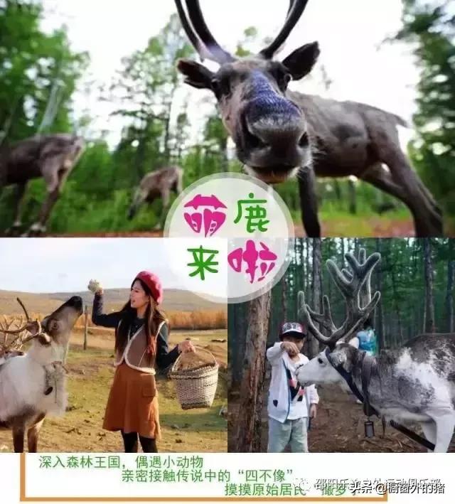 冬天呼伦贝尔大草原自驾游攻略,呼伦贝尔大草原深度游