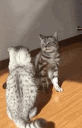 锻炼好身体怀孕的时候会好一些吗,锻炼身体再怀孕会不会好一些