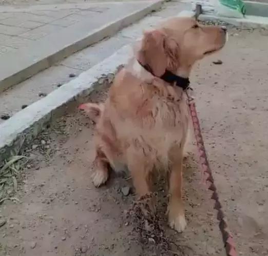 平时瓶盖都拧不开的小女生,平时拧不开瓶盖的女孩原视频