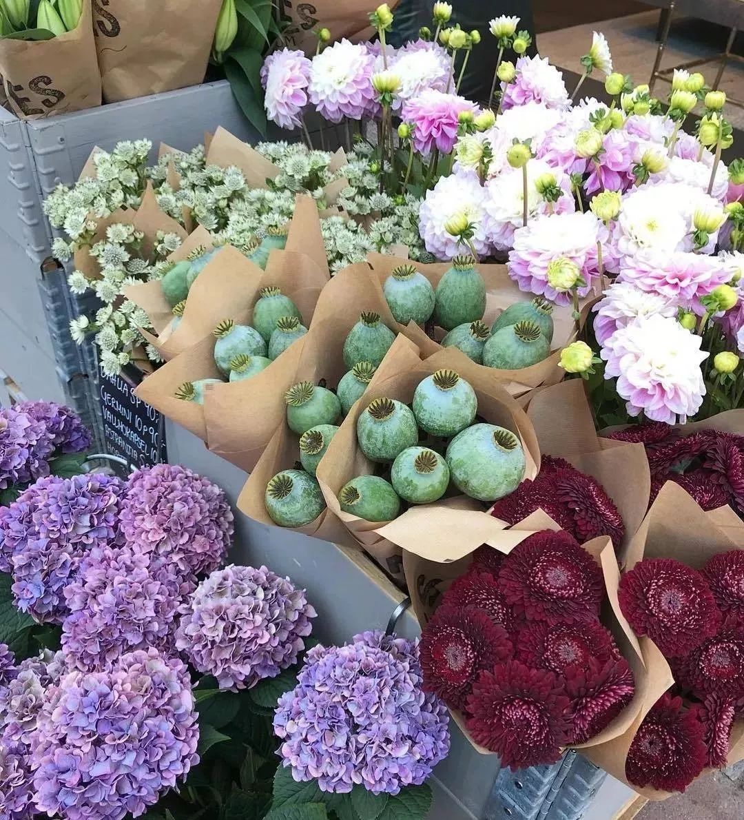 环保花束的趋势,创意环保花束