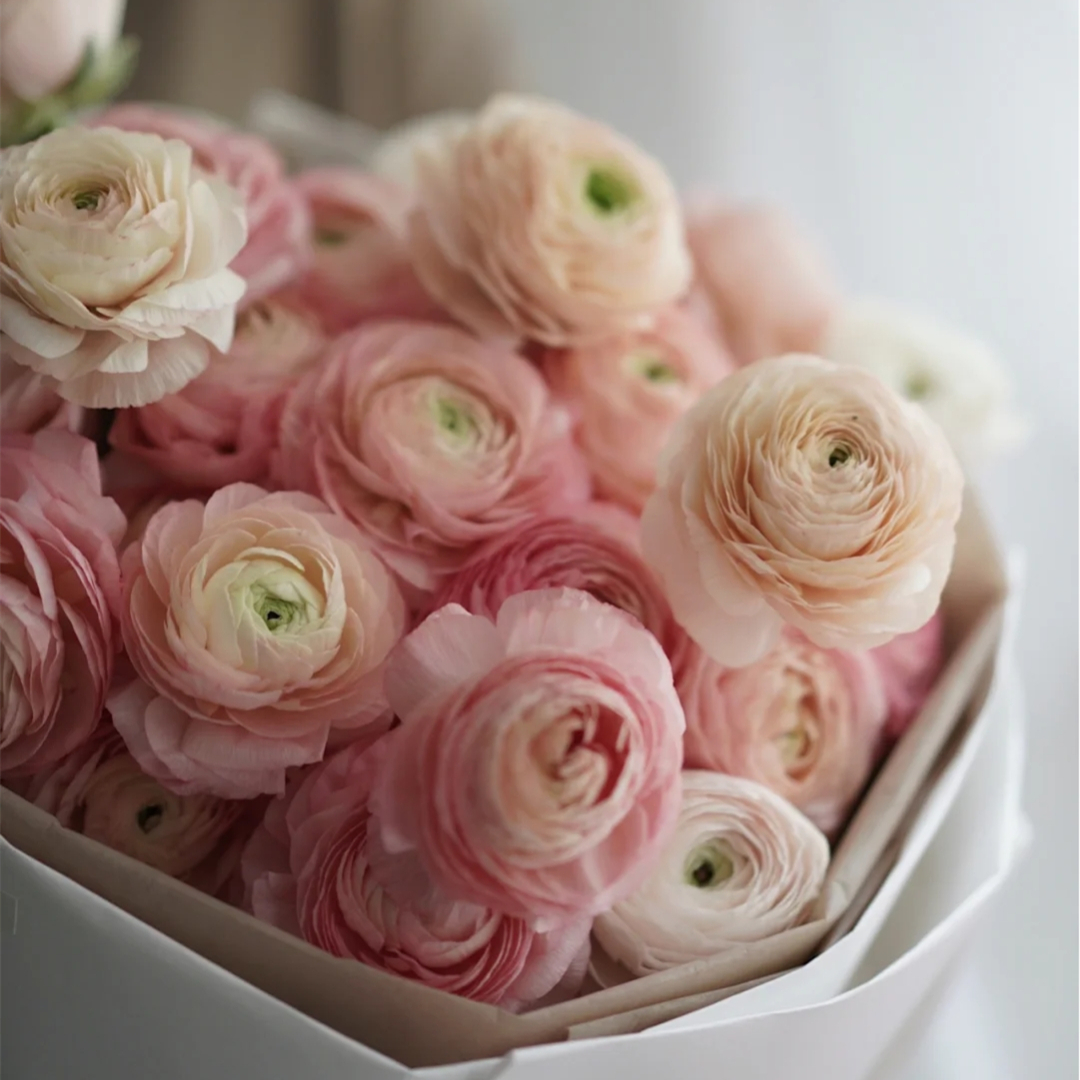 野冬青花材,畅销花卉绿植排行榜前十名