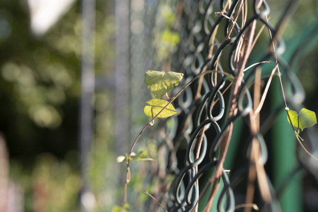 宾得da501.8评测,宾得星头是不是最好