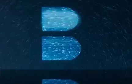 鞋王百丽最新消息,中国鞋王百丽icon