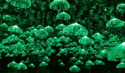 重庆来福士网红打卡观景,来福士重庆网红打卡点晚上好玩