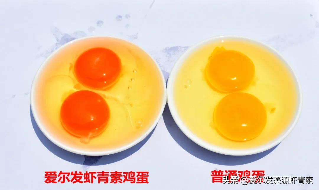 爱尔发生物技术股份有限公司,爱尔发健康管理