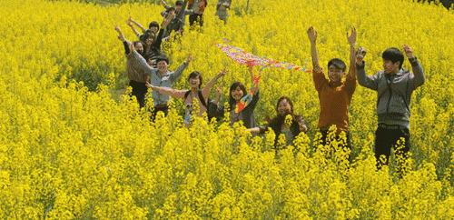 汉中南郑观花最佳路线,全国1-12月赏花旅游线路