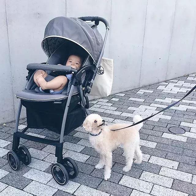 日本妈妈好物,最容易踩坑的母婴产品