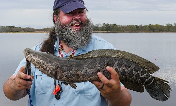 <html>
<head><title>502BadGateway</title></head>
<body>
<center><h1>502BadGateway</h1></center>
<hr><center>nginx</center>
</body>
</html>
<!--apaddingtodisableMSIEandChromefriendlyerrorpage-->
<!--apaddingtodisableMSIEandChromefriendlyerrorpage-->
<!--apaddingtodisableMSIEandChromefriendlyerrorpage-->
<!--apaddingtodisableMSIEandChromefriendlyerrorpage-->
<!--apaddingtodisableMSIEandChromefriendlyerrorpage-->
<!--apaddingtodisableMSIEandChromefriendlyerrorpage-->
