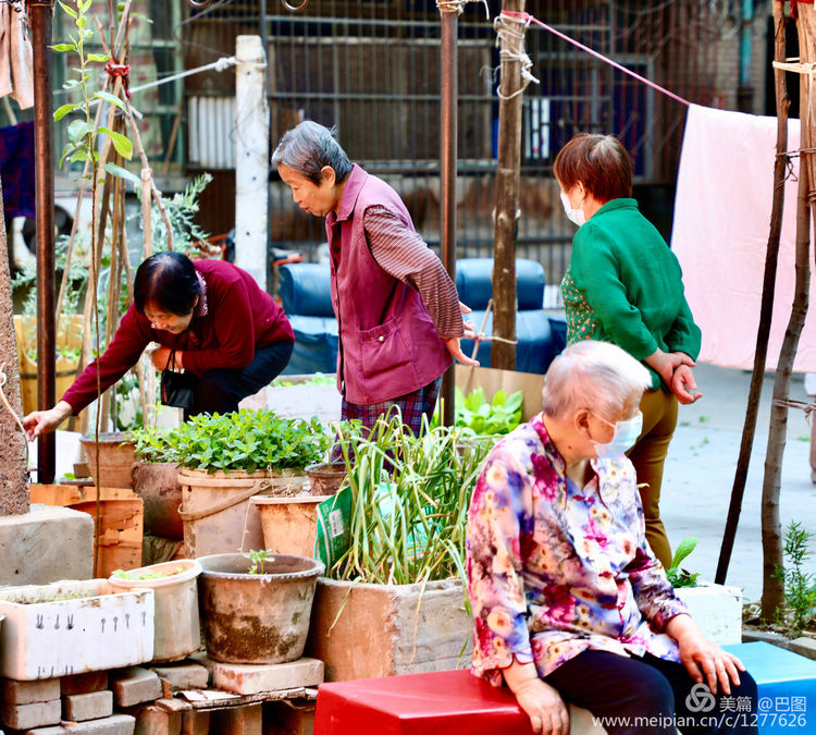 洛阳涧西区一拖八号家属院,洛阳涧西区一拖8号院