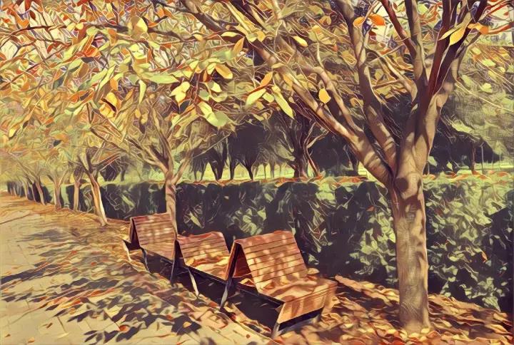 西安外国语大学博士点,西安外国语大学高职部