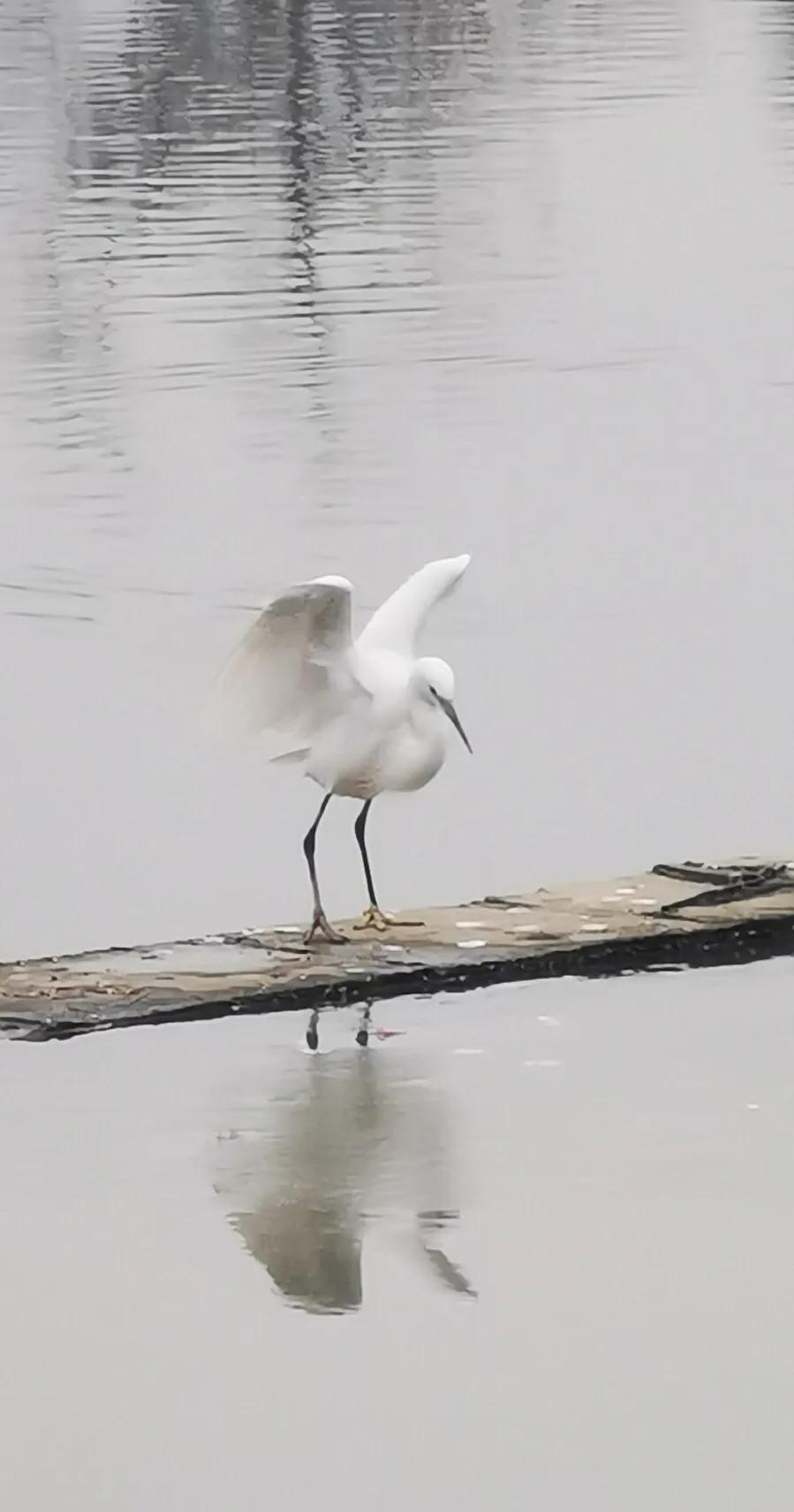 手机摄影手册圈友作品选第5期,手拍世界摄影交流平台
