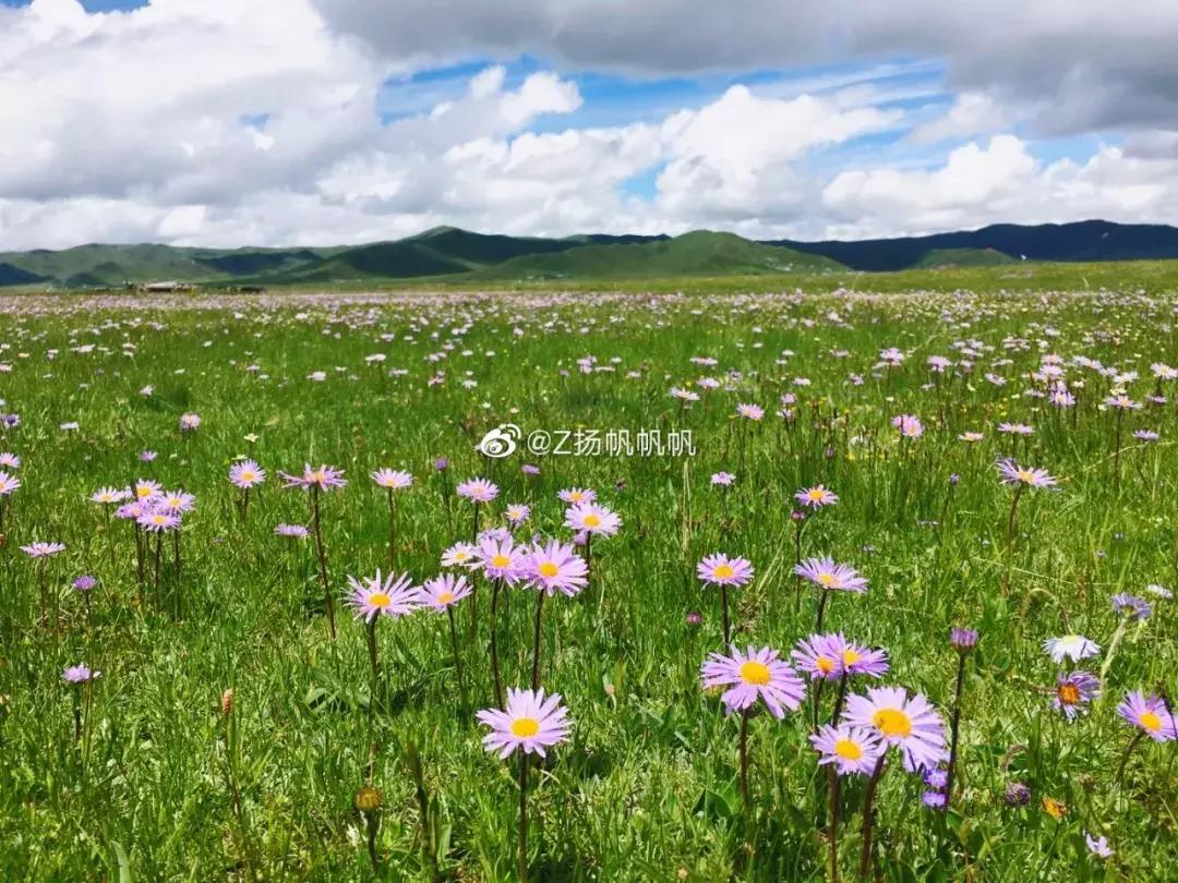 成都到青海茶卡盐湖最全攻略,从成都去青海湖最快的攻略