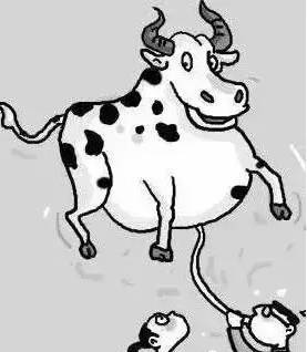 本命年为什么要穿红衣服呢,本命年穿红短裤有什么讲究吗